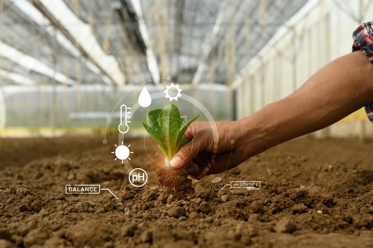 Investigación en semillas