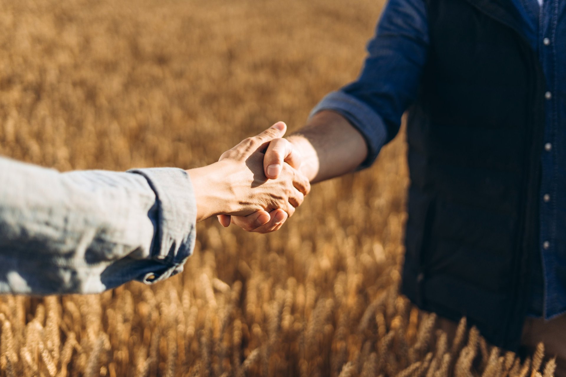 Farmers partnership handshake