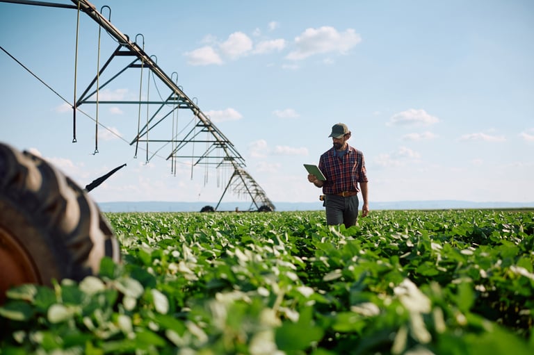 Farm worker examining crop growth while using digital tablet in the field