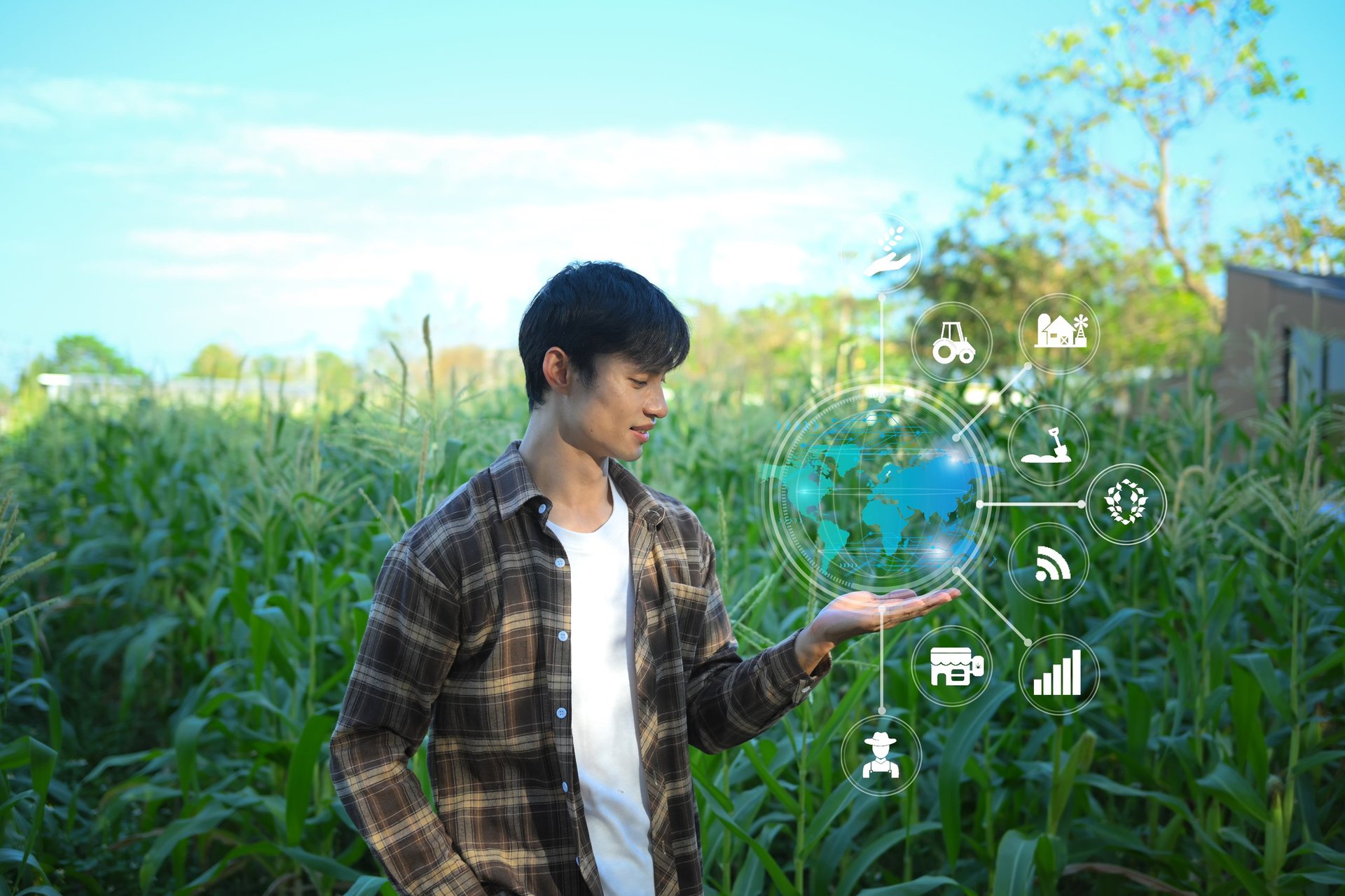 Campo de maíz con tecnología inteligente